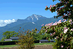 小淵沢から見る甲斐駒ケ岳