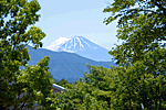 「清里の森」から見る富士