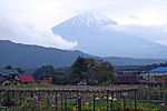 いやしの里から見る富士